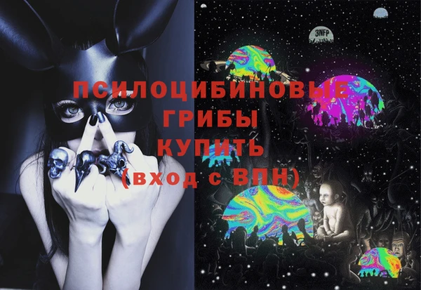 а пвп мука Галич
